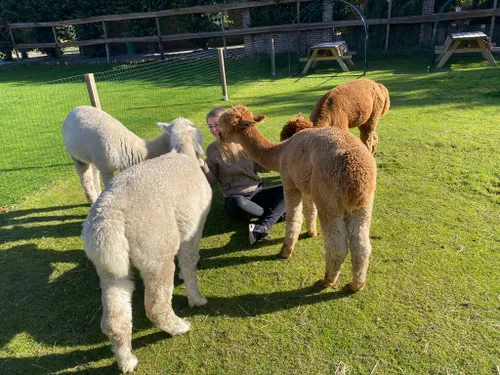 09d54753 6c50 4e6e b315 81830a78bb1a