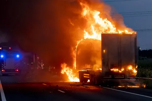 download 95851 s1000x1000