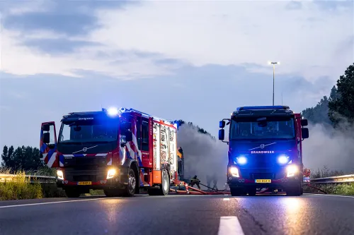 download 95855 s1000x1000