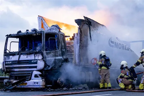 download 95861 s1000x1000