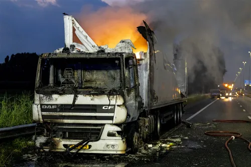 download 95874 s1000x1000