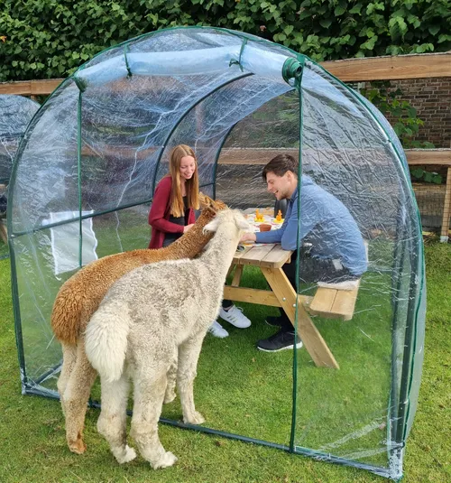 f0922320 cfc8 468a bbf1 570ba5dd5a6f 1 201 a