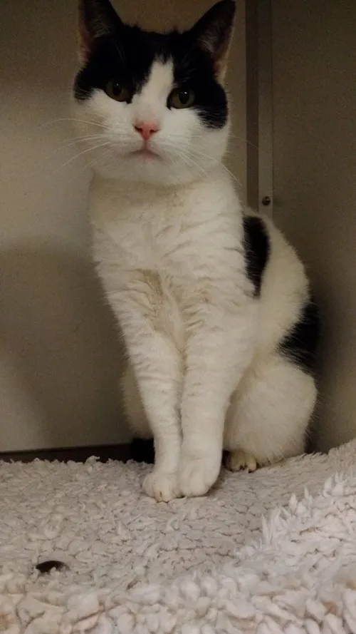 24796530 1322636607841903 3791134616742560558 n