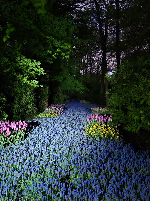 een beetje bijlichten en voila