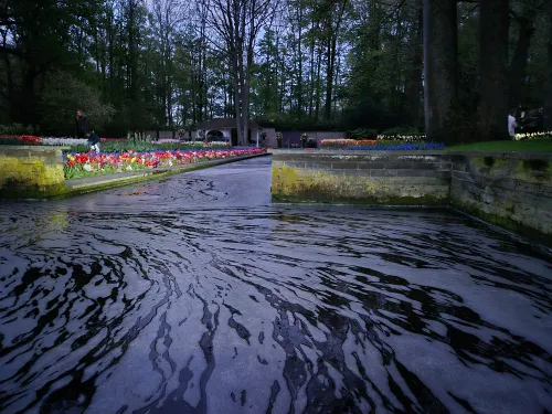 kijk hoe gedetailleerd