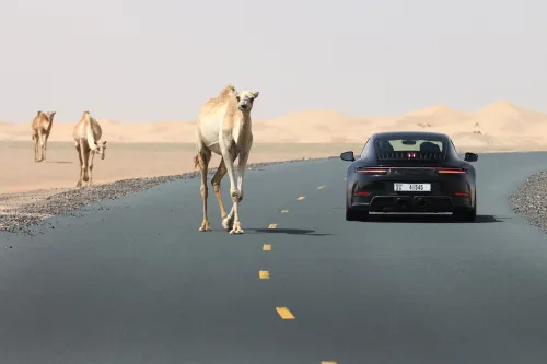 porsche dubai 151 high