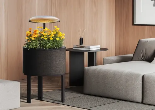 screenshot 2025 01 07 082151