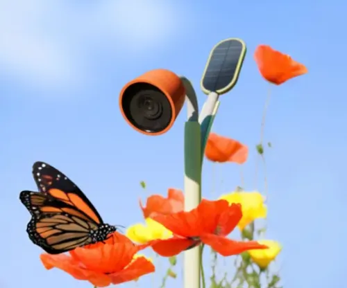 screenshot 2025 01 07 082549