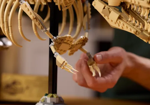 76968 lifestyle build 08