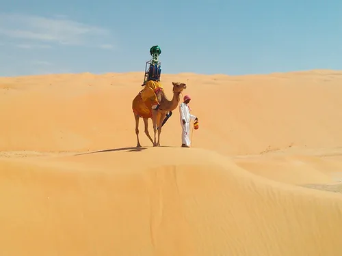 street view camel 2016