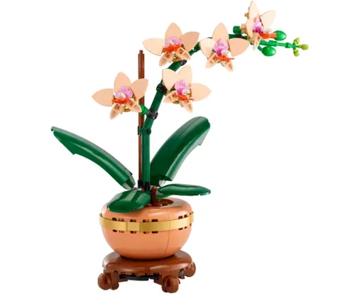 screenshot 2025 04 16 105312