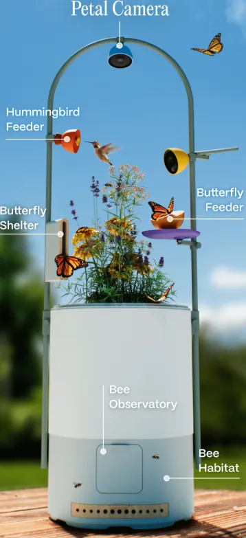 screenshot 2025 04 29 231801