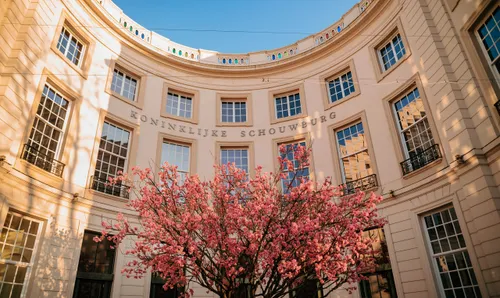 hnt livetext credits jassir jonis 09