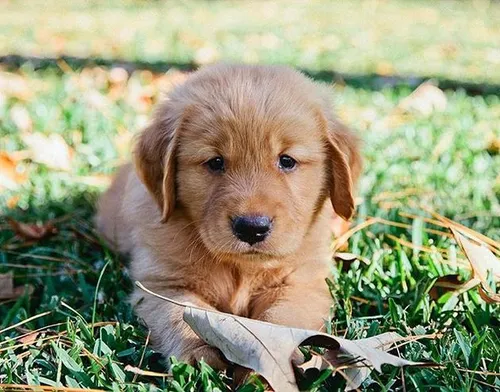 In&nbsp;3D geprint beeldje&nbsp;&nbsp;