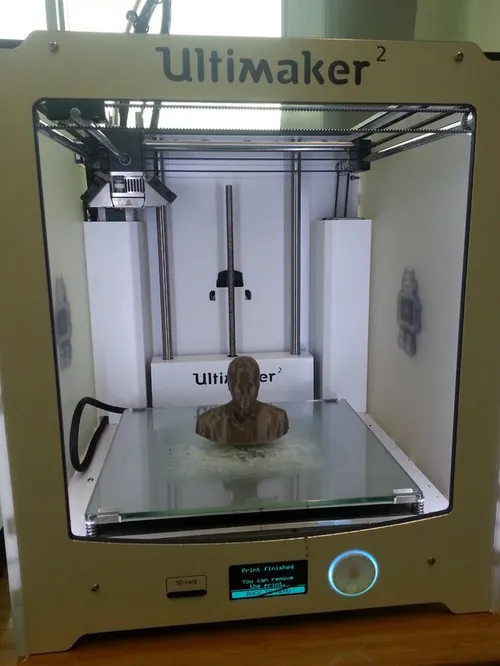 In&nbsp;3D geprint beeldje&nbsp;&nbsp;