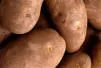 1100732222potatoes.jpg