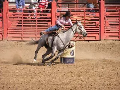 1162053998cowby-rodeo-1.jpg