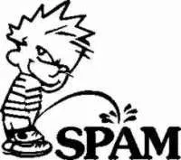 118103107920061116-spam.jpg