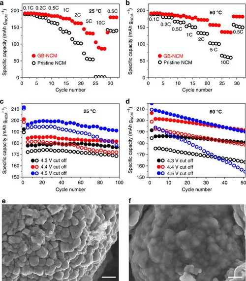 41467_2017_1823_Fig4_HTML