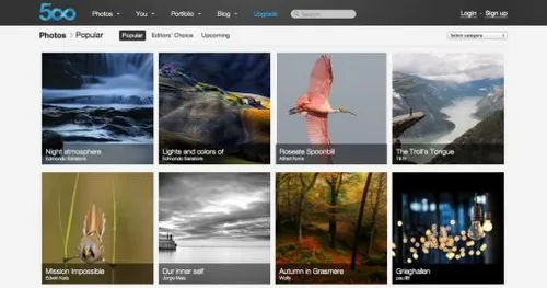 500px.jpg