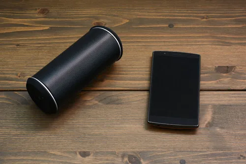 Beeld: jipen - Adobe Stock