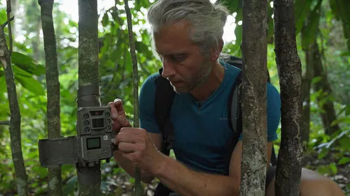 ai enabled camera trap