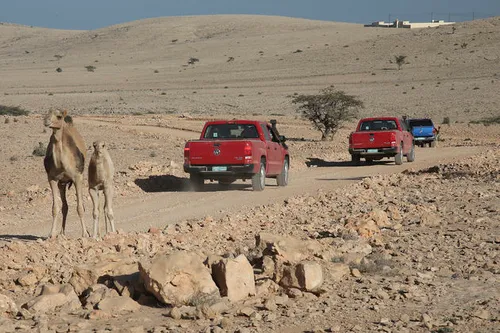 Tegenliggers die je geen blik waardig gunnen, arrogante kamelen