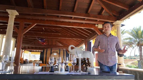 Een halve dag praten over wijn, wijn proeven en wijn maken (samen met Michael Stock)