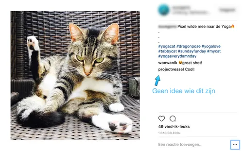 bot volgers instagram voorbeeld