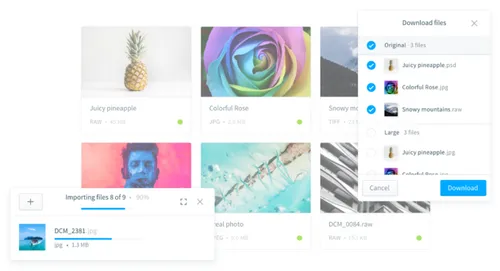 De layout van de web-app is clean en overzichtelijk, precies zoals het hoort.