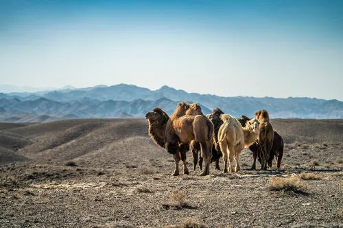 De gelukkige bewoners van dit magische landschap