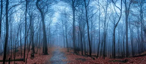 claude roy canada shortlist open panoramic 2016