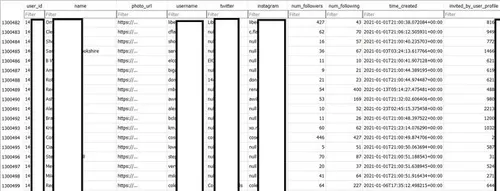 Een voorbeeld van de gebruikersdata zoals die op het hackersforum gepubliceerd zijn