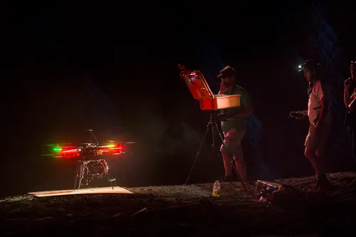 Darklight-sweetgrass