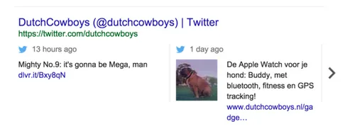 dc-twitter-in-google