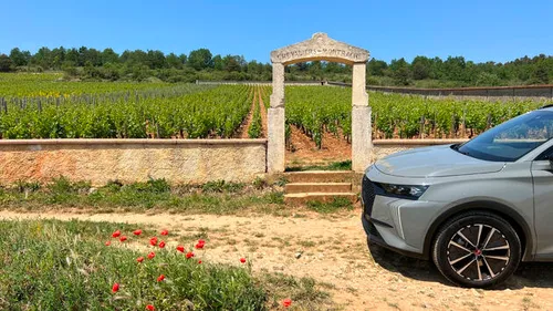 Maar ook langs wijngaarden van de exclusieve Grand Cru`s zoals deze Puligny-Montrachet