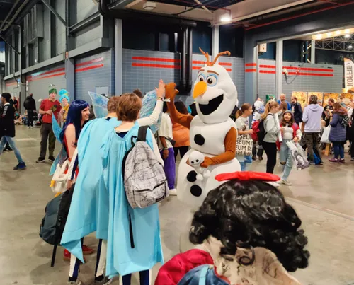 Dutch Comic Con High Five