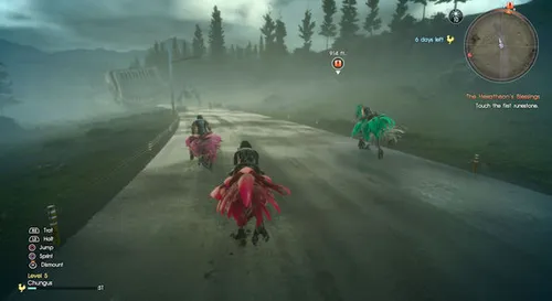 Chocobo`s! Alles beter dan die auto.