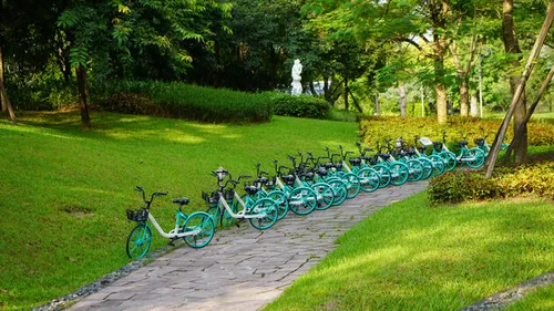 Groene fietsen zonder stekker, zoals het hoort