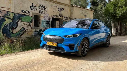 Een Mustang in zijn natuurlijke habitat