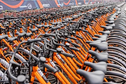 Het fietspeloton van Gazelle tijdens de Dutch Grand Prix in Zandvoort