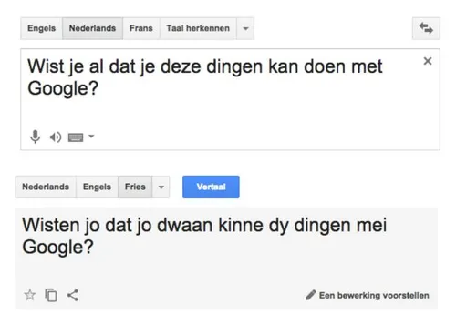 google-translate-fries