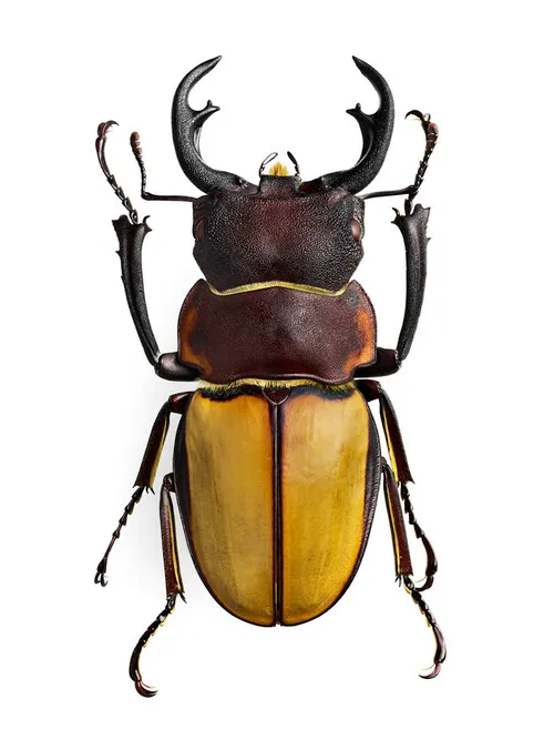 Foto: G\u00f6ran Liljeberg (<a href=\