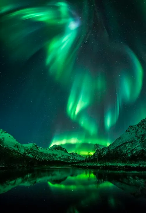 Noorderlicht in Olderdalen, Noorwegen. Fotocredit: Jayn R. Olsen.