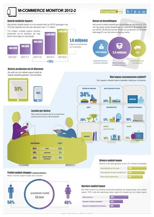 infographic-m-commerce-monitor-2012-2.jpg