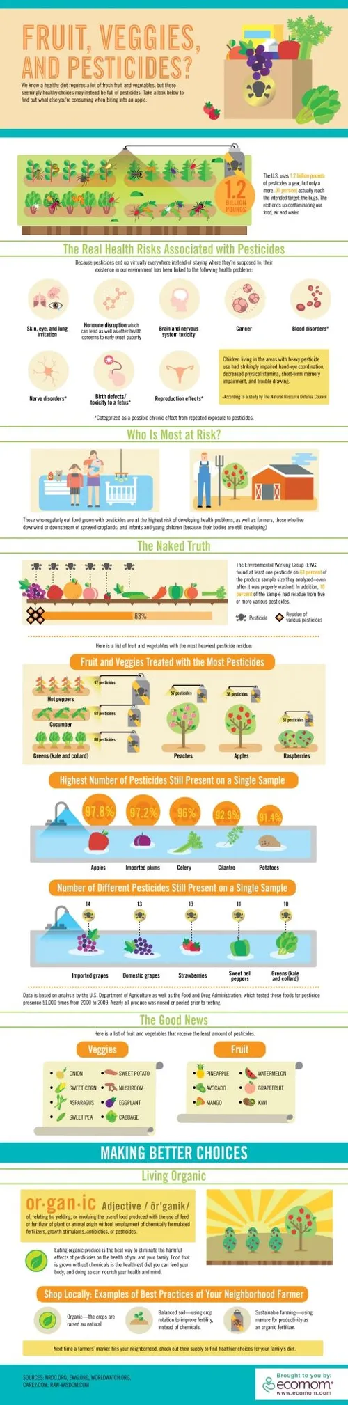 infographic-pesticides2.jpg