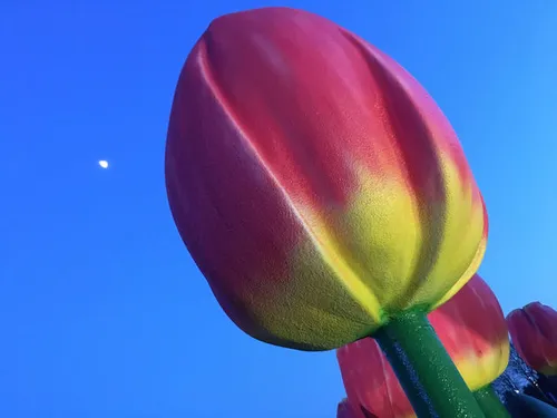 Foto gemaakt met iPhone 6S (Auto setting)