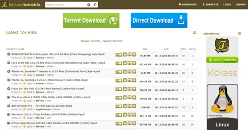 <em>De nieuwe Katcr.co<\/em>