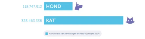 katten-versus-honden-2