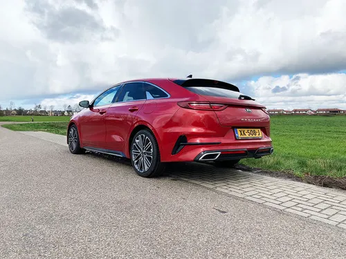 <i>Een opvallend uiterlijk.</i>